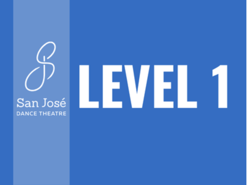 Level 1