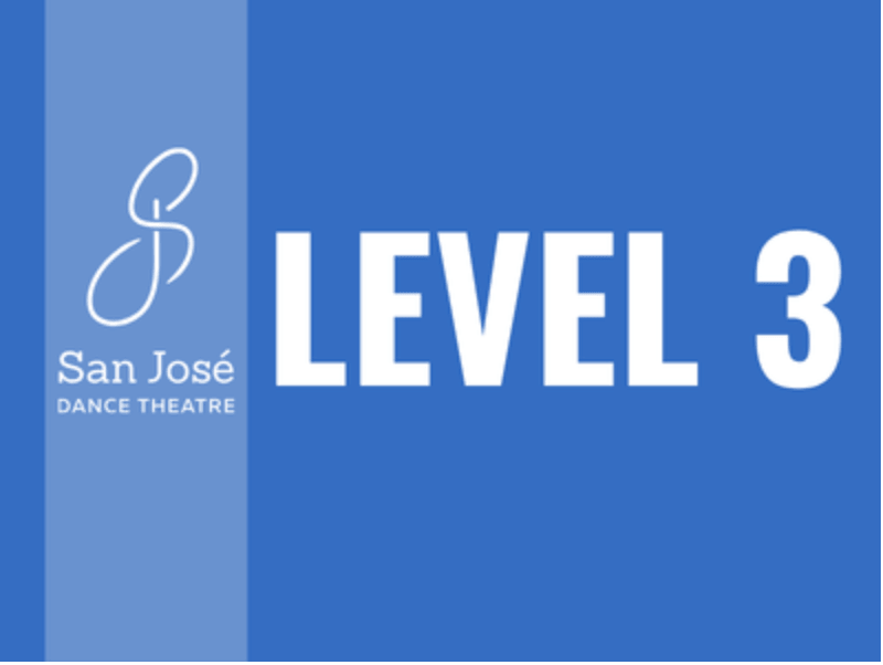 Level 3