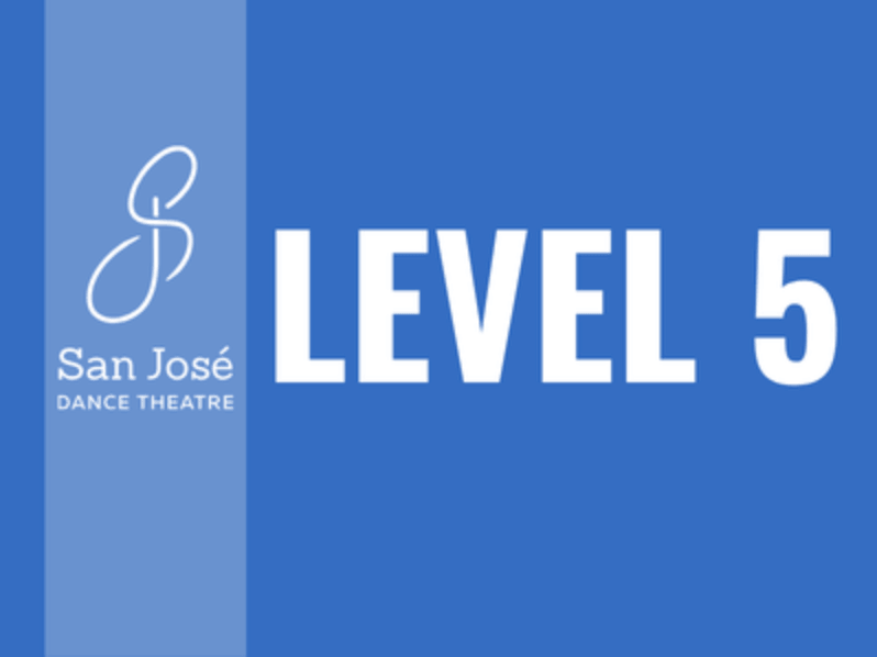 Level 5
