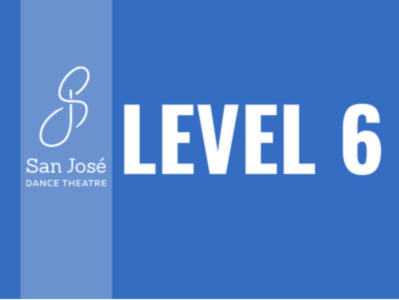 Level 6