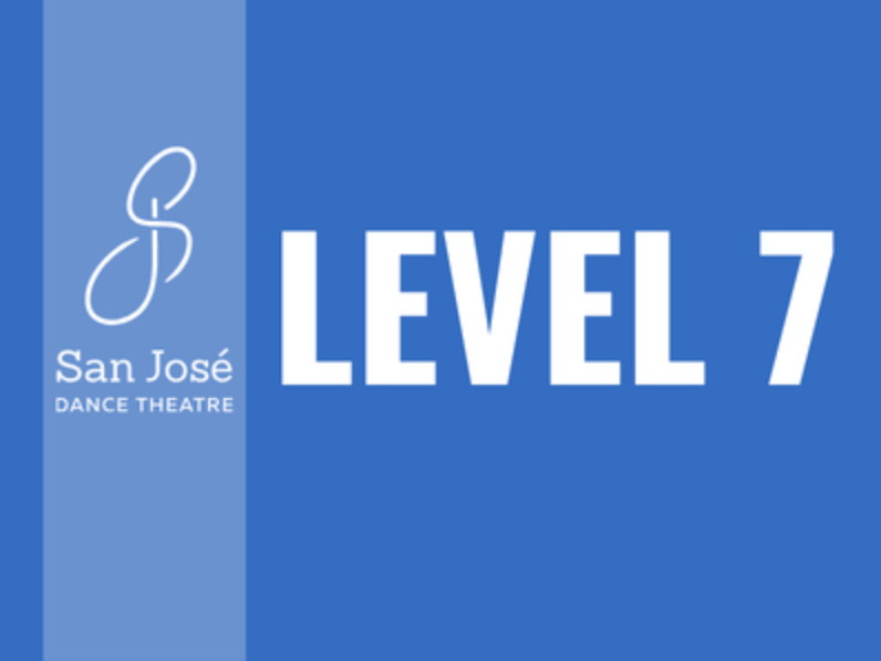 Level 7