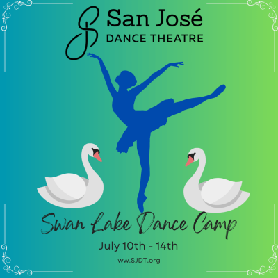 Swan Lake Dance Camp